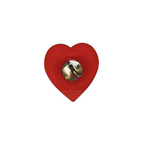 Lana Del Rey - Love / Lust For Life - Heart Shaped