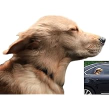 Riders Golden Retriever Car Sticker Window Decal for Vehicles Dog Window Cling(for Right Side)