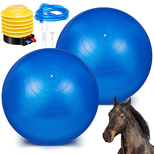 Sotiff 2 Pcs 40 Inch Horse Ball for Play Large Horse Big Equine Herding Anti Burst Dog Ball Soccer Giant, Pump Included40 Inch,Blue