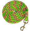 Jeffers Equine Poly Horse Lead Rope, 5/8" x 8', Heavy Duty, Durable Lead Rope with Bolt Snap, Rust Resistant Brass Hardware for Horses - Training, Grooming, Equestrian Accessories - Light Green