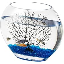 hygger Mini Glass Oblate Fish Bowl Kit, Small Fish Tank  with Blue Aquarium Decor Stones and Plastic Fan Branch Tree Ornament