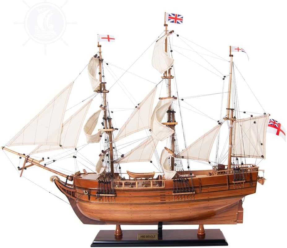 Old Modern Handicrafts Beagle Ship Model - Fully Assembled Ship Model, 100% Handcrafted from Premium Hardwoods - 32L x 9W x 29H Inches