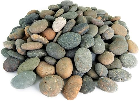 Mexican Beach Pebbles | 20 Pounds of Smooth Unpolished Stones | Hand-Picked, Premium Pebbles for Garden and Landscape Design | Mixed, 2 Inch - 3 Inch
