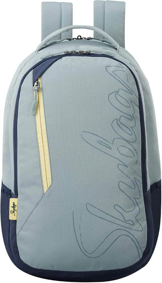 Skybags Campus Grey Logo Print College Laptop Backpack 30L, Grey, 15", Laptop Bags & Cases
